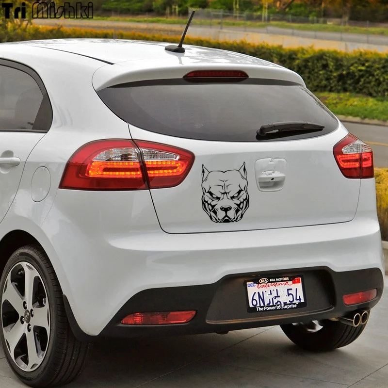 kia rio (1)_