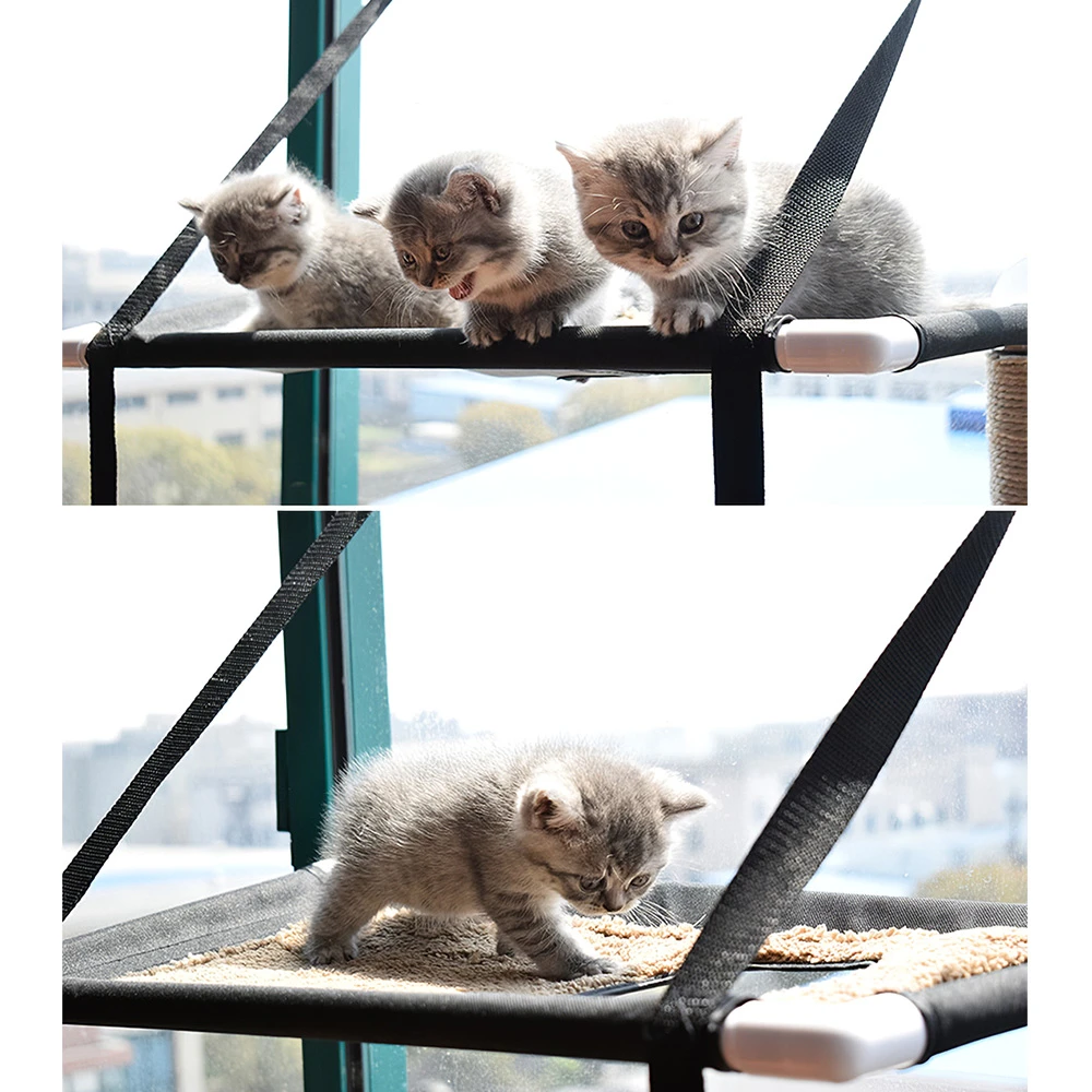 cat suction cup window perch