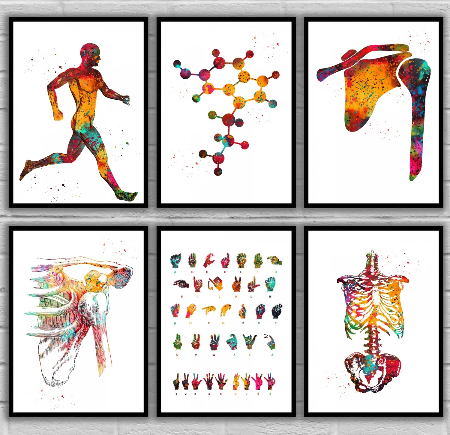 

Running muscle man Serotonin Molecule Shoulder Bones Shoulder dislocation Sign Language Anatomical Medical And Science Poster
