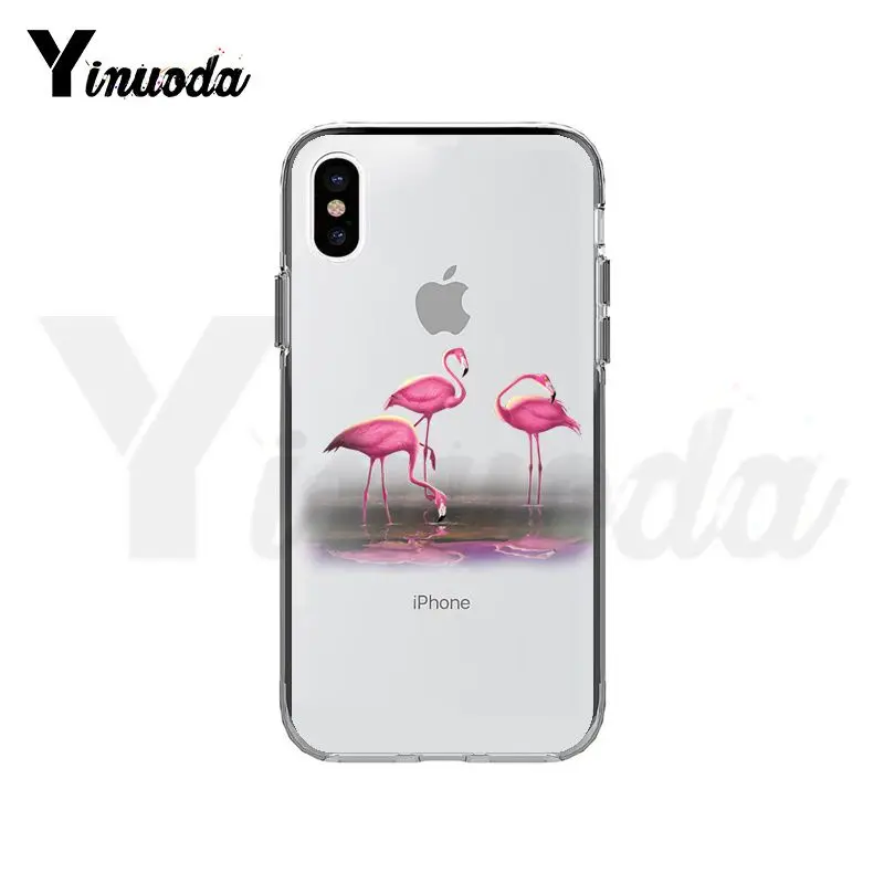 Flamingos Floral (8)