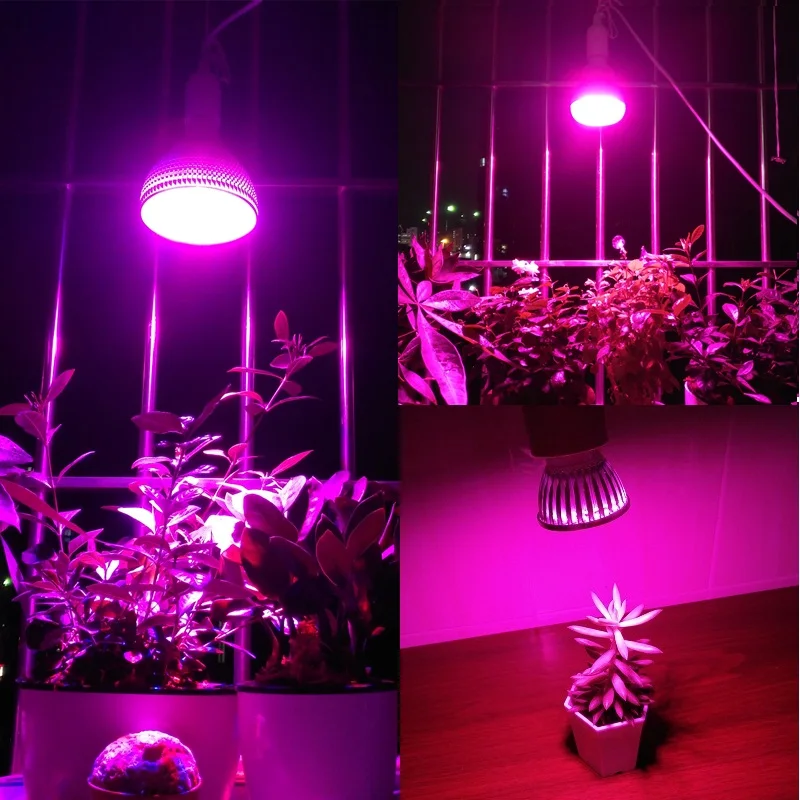 ReBlue Led Grow Light фитолампа лампа для растений 7 Вт 15 Вт 36 Вт растительный свет Светодиодная лампа для выращивания растений led полный спектр для цветения