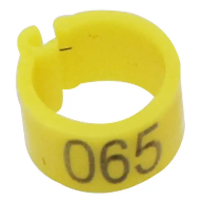 Image 9