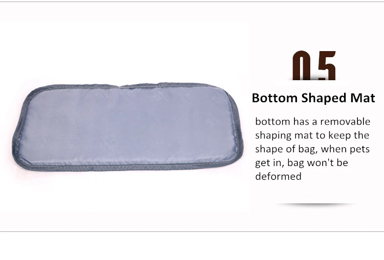 Luxury Designer Dog Carrier  (5)
