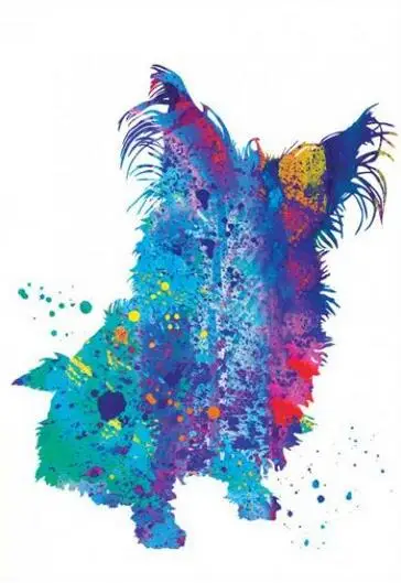 watercolor Dog, Pomeranian 8