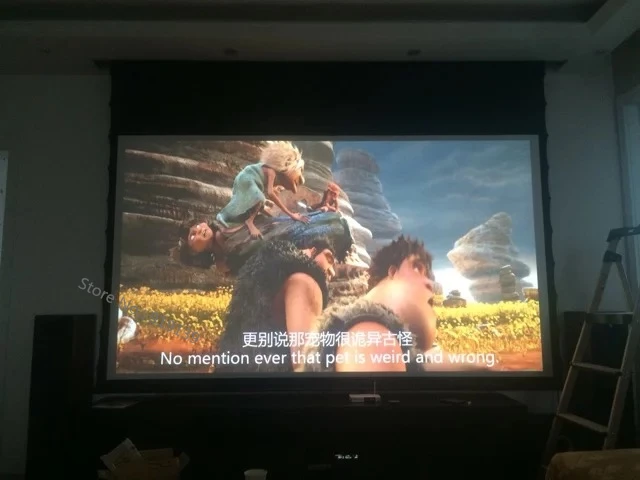 Motorized Tab-tension projection screen pic 23