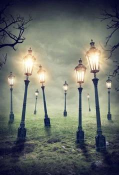 

Laeacco Lantern Grass Wild Light Night Scenic Outdoor Photo Backdrops Photographic Background Photocall Photo Studio