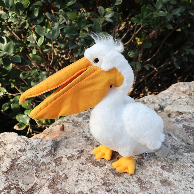 pelican soft toy