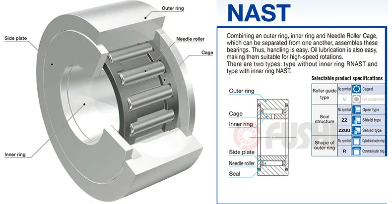 NAST1_