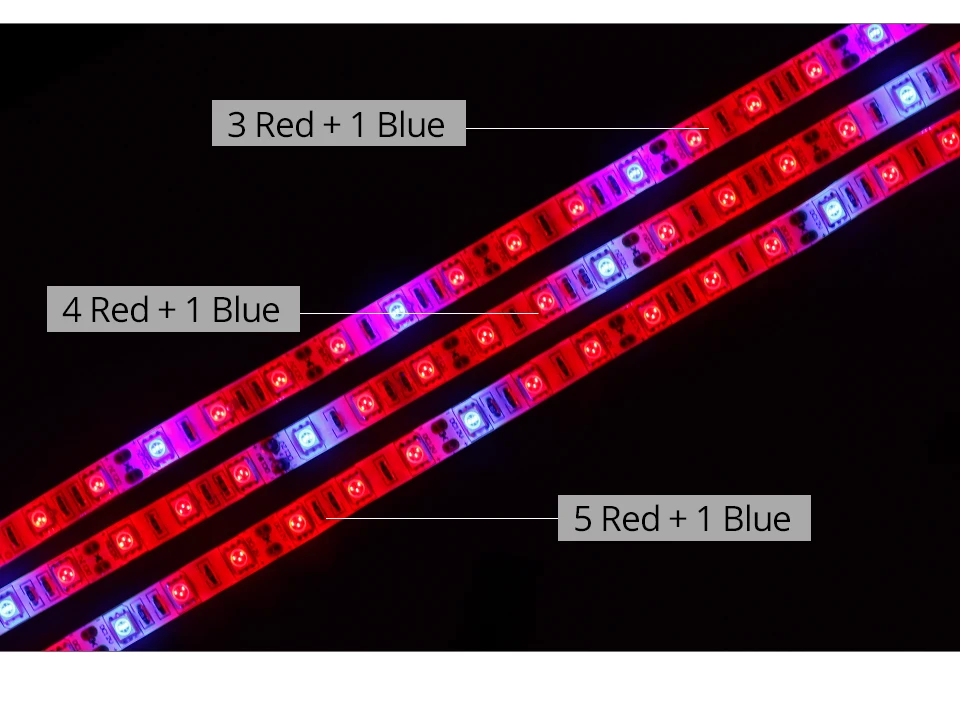 Plant Grow Lights Full Spectrum LED Strip 12V Flowers Phyto Lamp 5M Dimmable Red Blue For Greenhouse Hydroponic + Power Adapter (4)