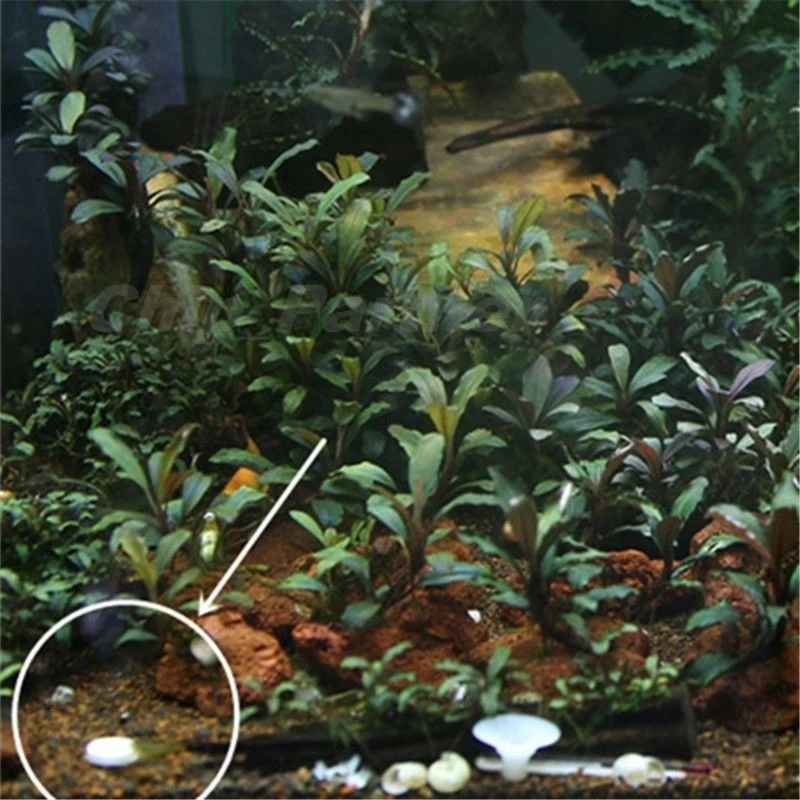 36 шт./кор. аквариум CO2 углекислого газа Планшеты для растений водные растения для аквариума CO2 садок для рыбы аксессуар