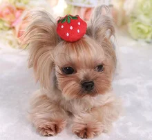Mascotas perro gato fresa de la felpa animal horquilla tocado perrito de pelo de moda cachorro headwear perros gatos tocado productos 20 unids