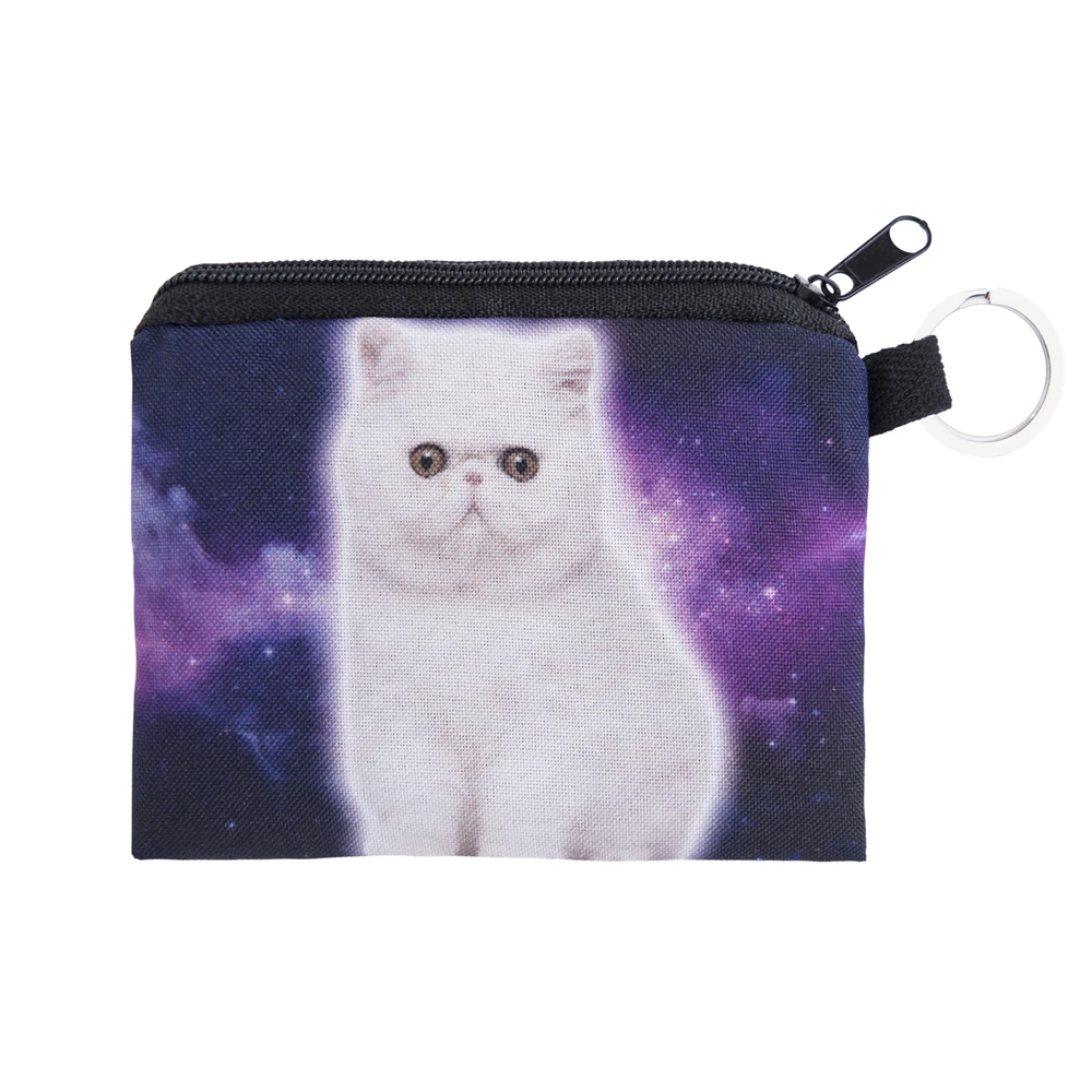 40088 galaxy white cat (2)
