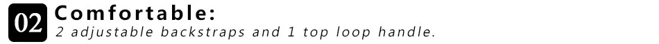  (1)