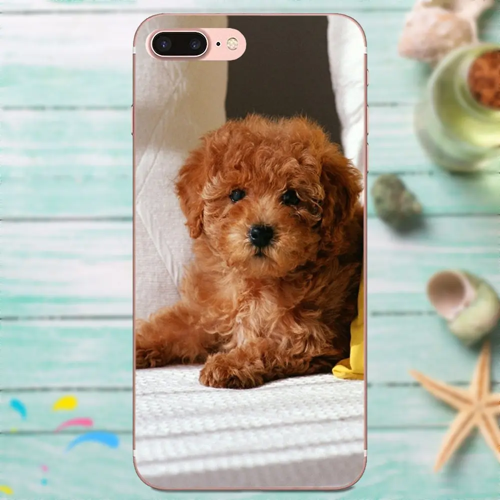 Чехол из ТПУ для Huawei P8 P9 P10 P20 P30 Mate 7 8 9 10 20 Lite Plus Pro 2017 Игрушка Пудель Собака