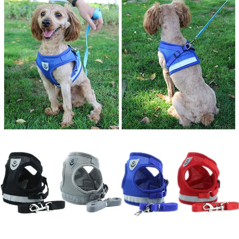All Access Canine Service Dog Vest Harness - Support/Therapy Dog ID Pocket, Adjustable & Padded