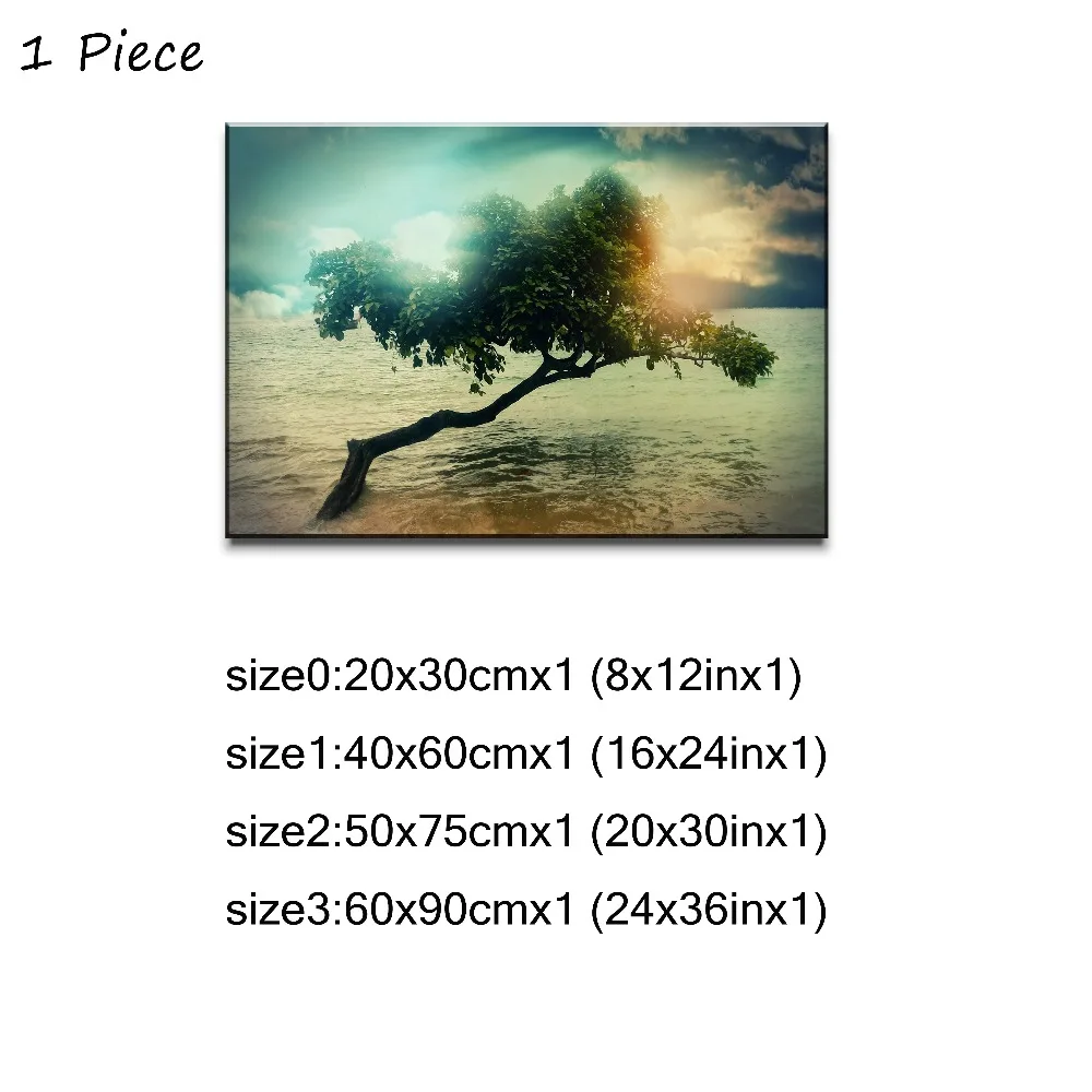 1P 
