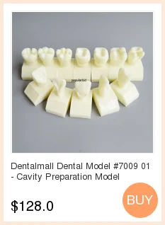 Base de Silicone Mandíbula Edentulosa Dental Modelo Completo Molde Bloco 7 High Quality Beleza e saúde