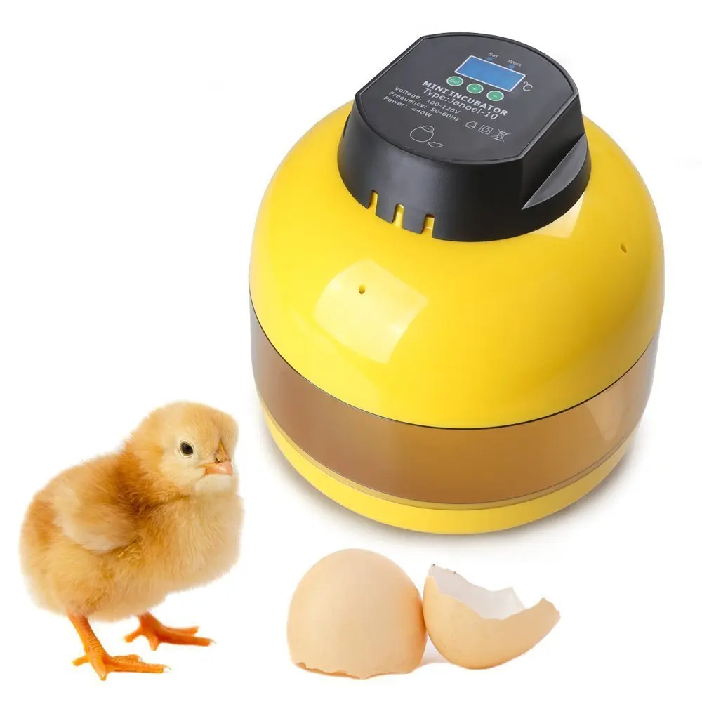 

quail manual egg incubator 10 eggs hatcher china cheap incubator for duck eggs for sale