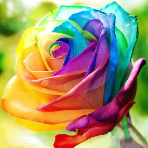 

New Circular Stone 5D DIY Diamond Painting Rainbow Rose Diamond Embroidery Sale Scenic Diamond Full Display Love Gift Nederland