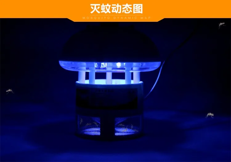 MW01 (4)