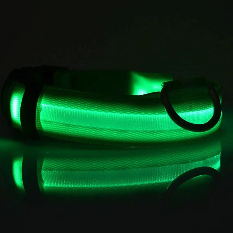 LED dog Collar4