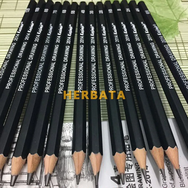 Художник 14 шт./компл. графит 2H-8B Профессиональный эскиз набор карандашей для карандаш инструменты для рисования Угольные карандаши комплект, принадлежности для живописи