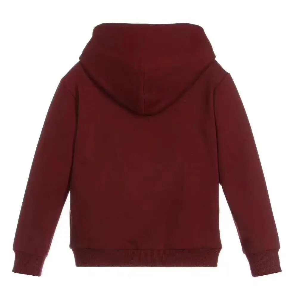 Children Hoodie Sweatshirt For Boys Girls Outerwear Tops Soft Sweatshirt Hooded Clothes in middle of September Children Hoodie Sweatshirt For Boys Girls Outerwear Tops Soft Sweatshirt Hooded Clothes in middle of September
