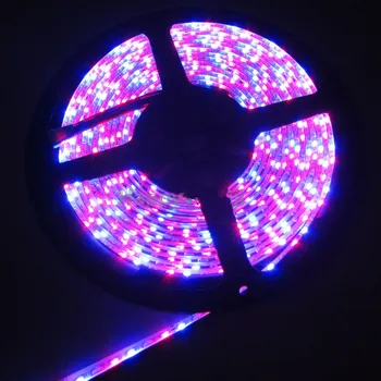 

5M 600Led 335SMD 120L/M Light IP65 Waterproof 12V Side-view emitting Flexible strip lamp Home backlighting decor RGB+Controller