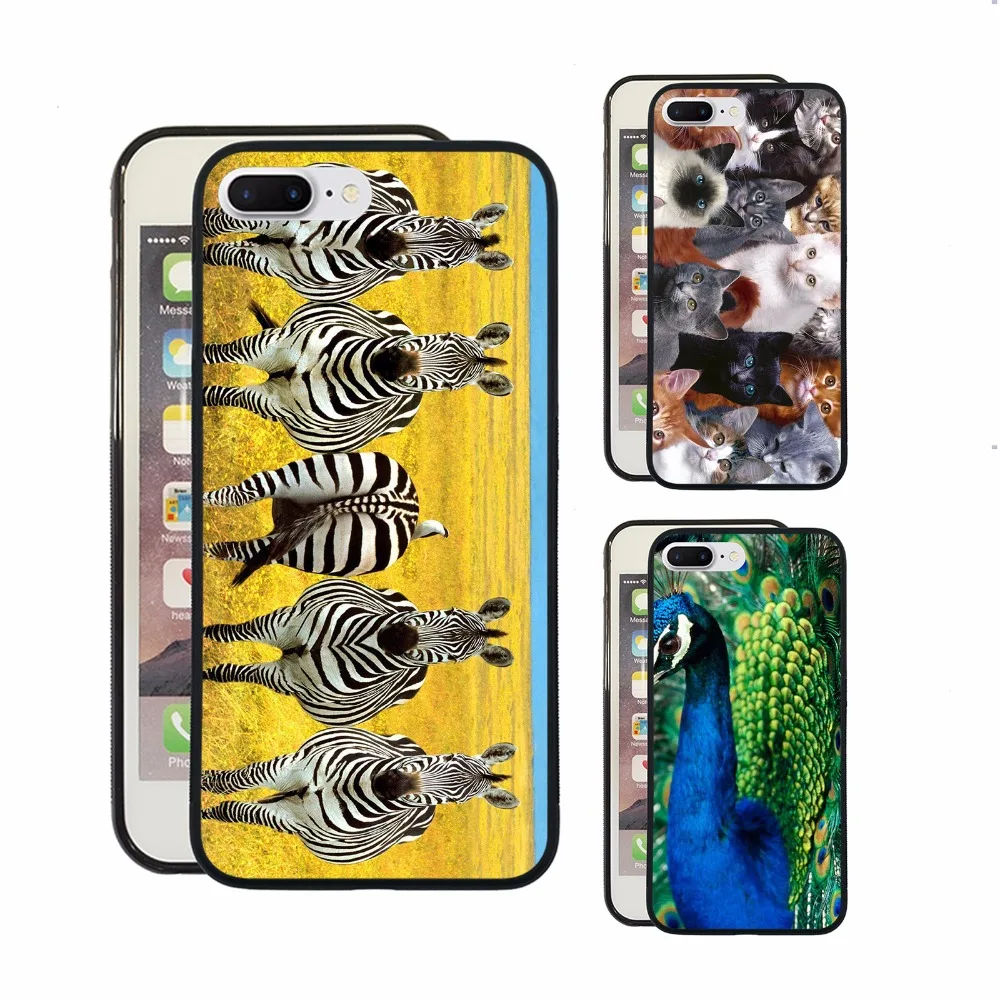 Zebra Cat Phone Case For iPhone 11 Pro Xs Max Xr 5 6 7 8 Plus Peacock Cover |