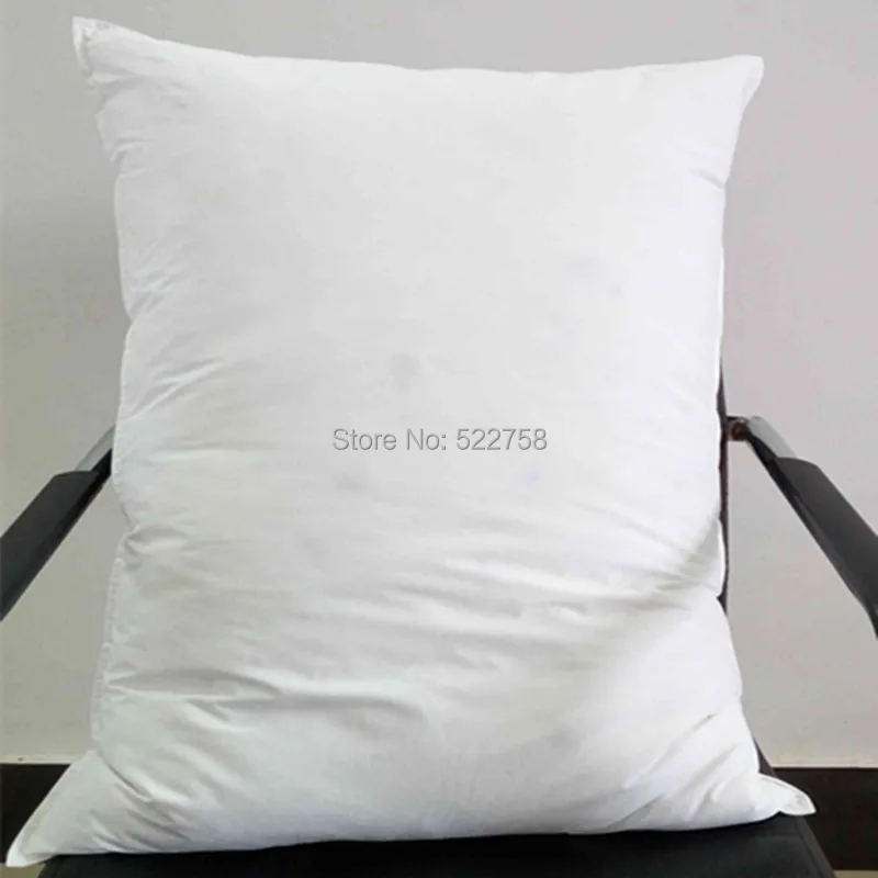 3 chambers goose down pillow (4)_