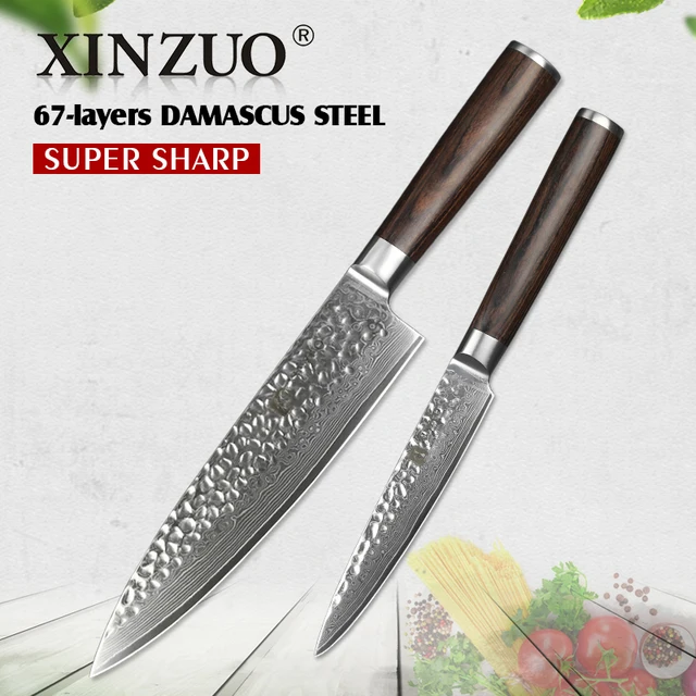 XINZUO 2PCS Kitchen Knife Set Japan Damascus Steel Chef Gyutou Utility