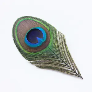 20pcs Real Peacock Feather Trimmed Peacock Eye Costumes Necklace Earrings Accessories Wedding Decorative 10-12cm