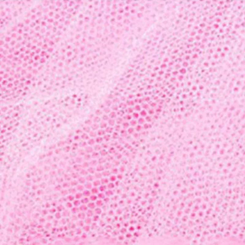 Двойная кровать Универсальный купол москитная сетка Розовая белая сетка защита от комаров мух Легкая установка сетка P7Ding
