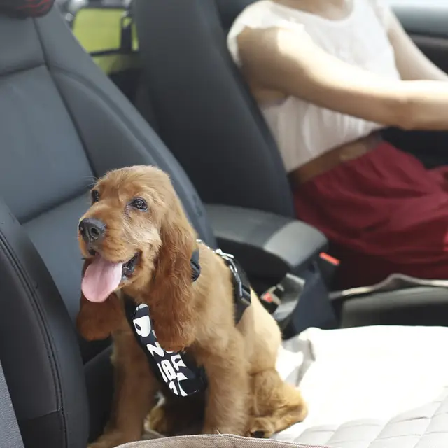 Dog Car Harness >> Us 8 12 30 Off Tailup Auto Dog Car Harness Safety Belt For Small Large Dogs Car Seat Belt Strap Pet Vest Chihuahua Dog Harness Leads Py0005 In Dog Car Harness >> Us 8 12 30 Off Tailup Auto Dog Car Harness Safety Belt For Small Large Dogs Car Seat Belt Strap Pet Vest Chihuahua Dog Harness Leads Py0005 In