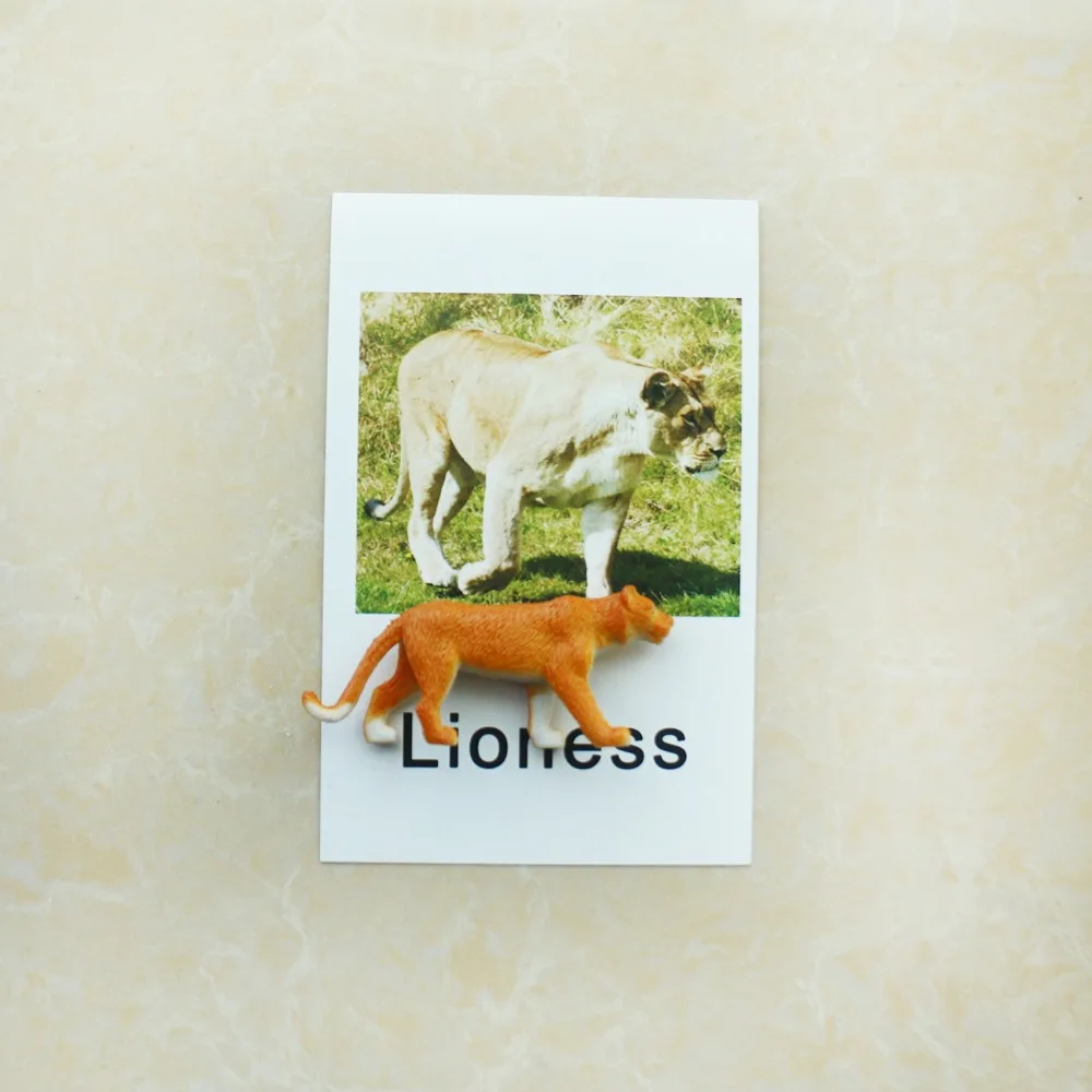 Baby Toys Montessori Cards Animal Language Preschool Educational Learning Toys For Children Juguetes Brinquedos MI3064H