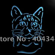 LB984-Бенгалия Cat Pet Порода подарков Свет Вход