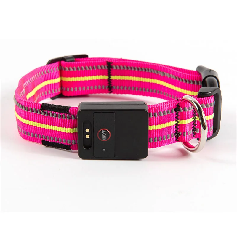 Dog Collar Luminous (6)