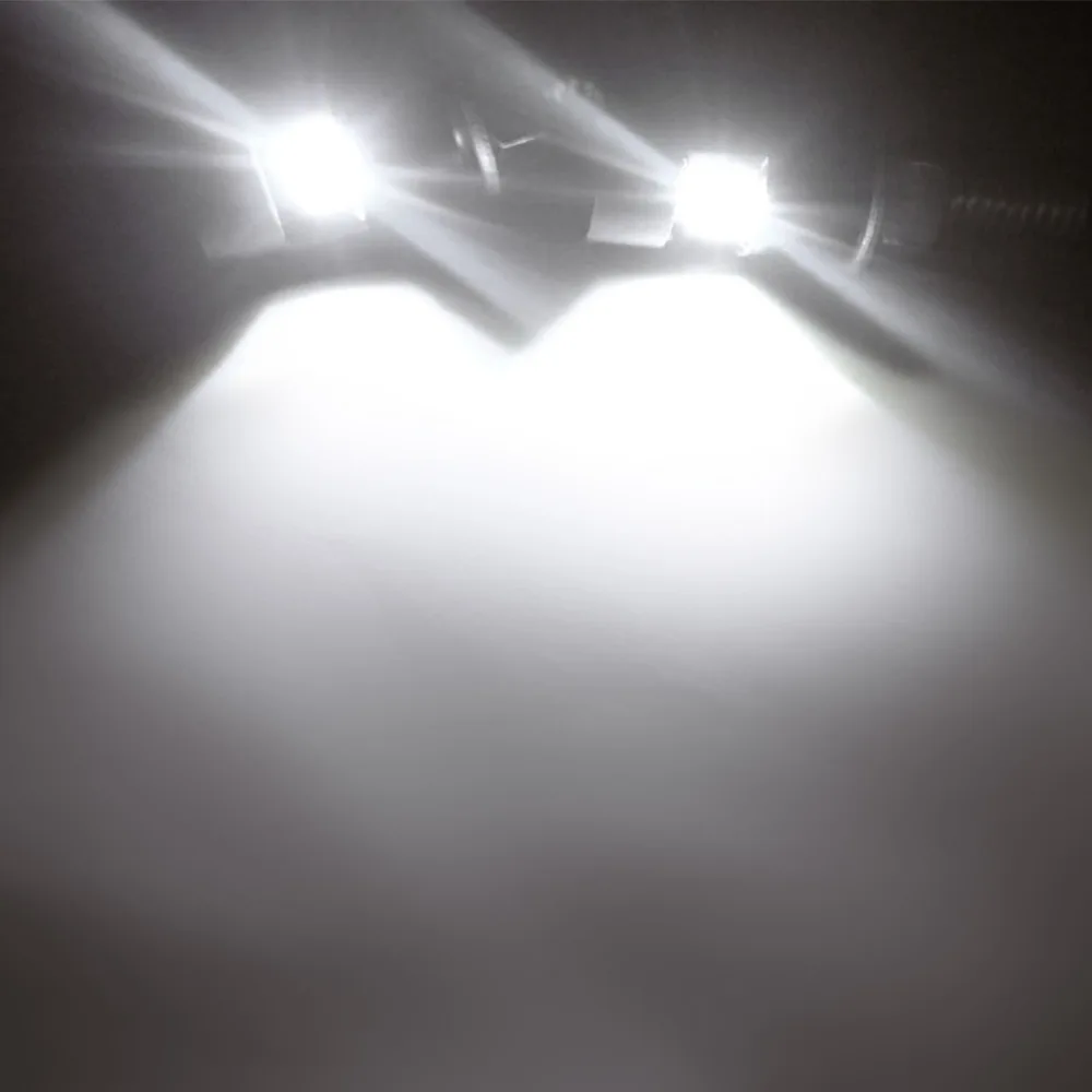 262689_no-logo_262689-1-07