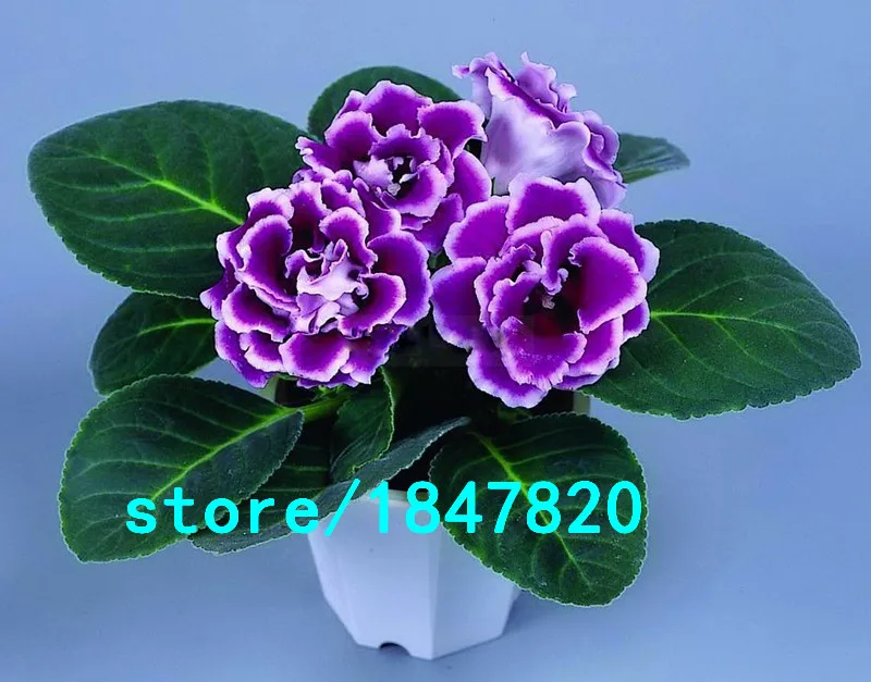 HTB1YJY7IFXXXXcbXFXXq6xXFXXXg