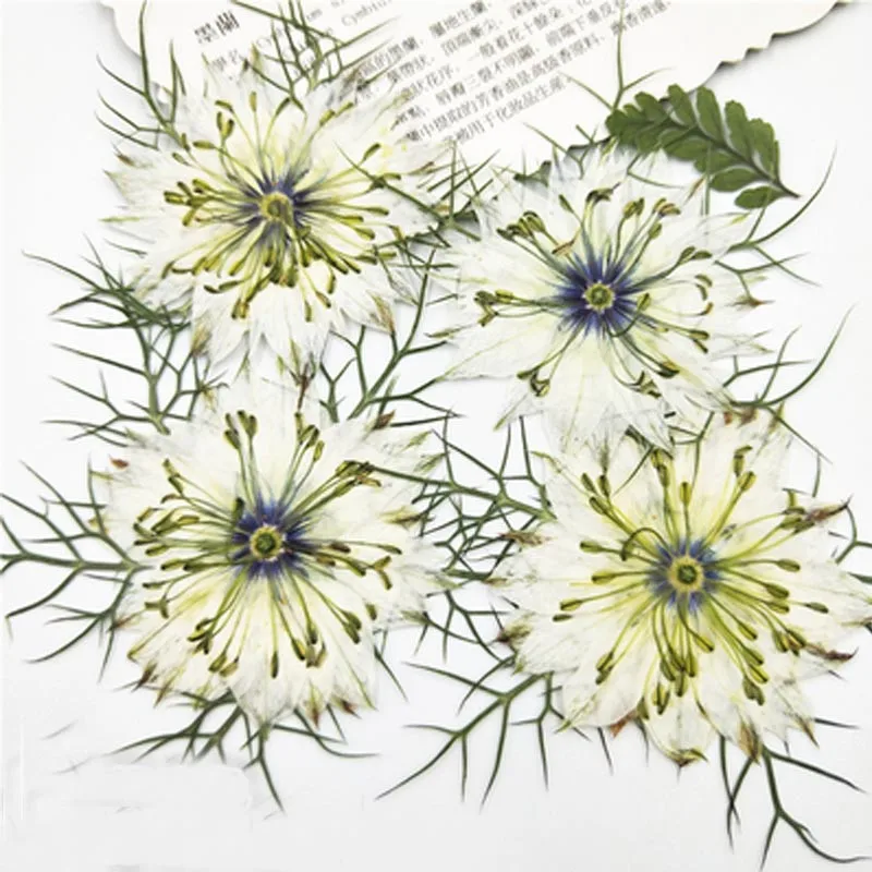 3-5CM