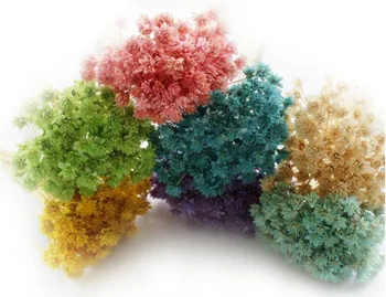

100pcs Length 30-40cm Dried Mini 1cm Flowers Preserved Flower For Wedding Party Home Hotel Decoration DIY Bouquet Accessory
