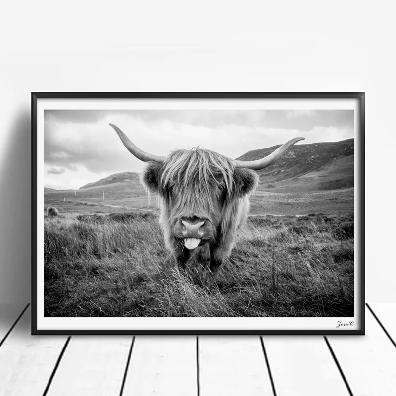 Highland Cattle Canvas Art Posters Prints Painting Black White Cow