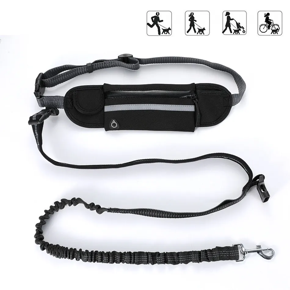 walking cat leash