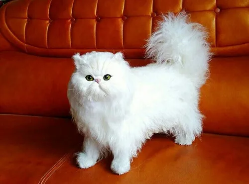white simulation cat polyethylene & fur standing Persian model gift about 45x35cm172 white simulation cat polyethylene & fur standing Persian model gift about 45x35cm172