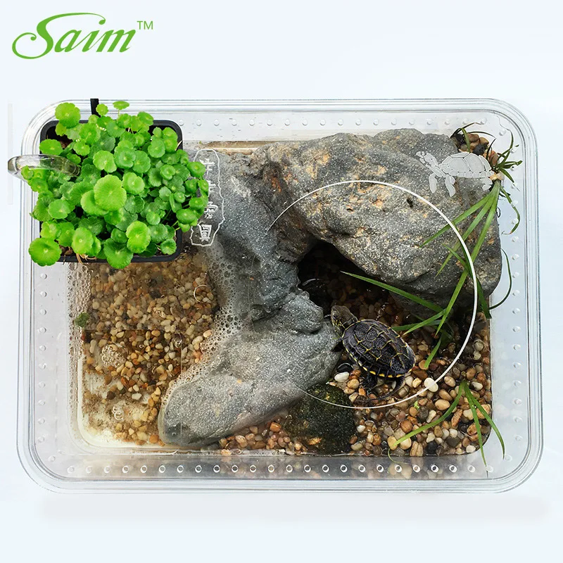 

Saim Turtle Cylinder Plastic Turtles Crock Aquatic Turtle Island Pot Small Desktop Turtles Tank Fish Ornamental Box JJ510