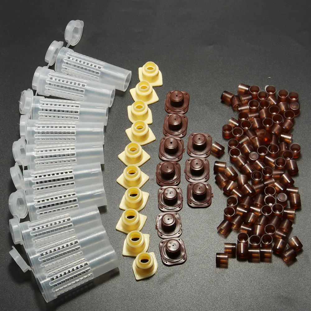 

Beekeeping Queen Rearing Cupkit Box 100PCS Brown Cell Cups Hair Roller Cages Holder Cupularve Bee Keeper Honey Apiculture Tools