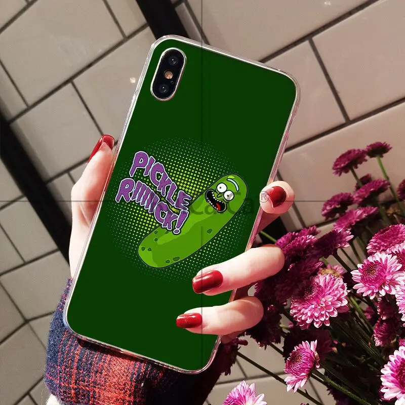 Rick and Morty pickle rick