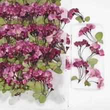 Вишня на стеблях пресс Цветы DIY ручной работы материал 1 лот/40 шт