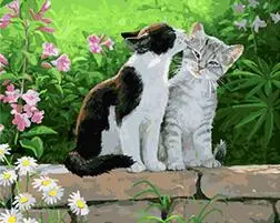 MaHuaf-X1278 cat and cat in garden Framed DIY Painting By Numbers Kits Modern Wall Art Picture Handpainted For Home Decor 40x50