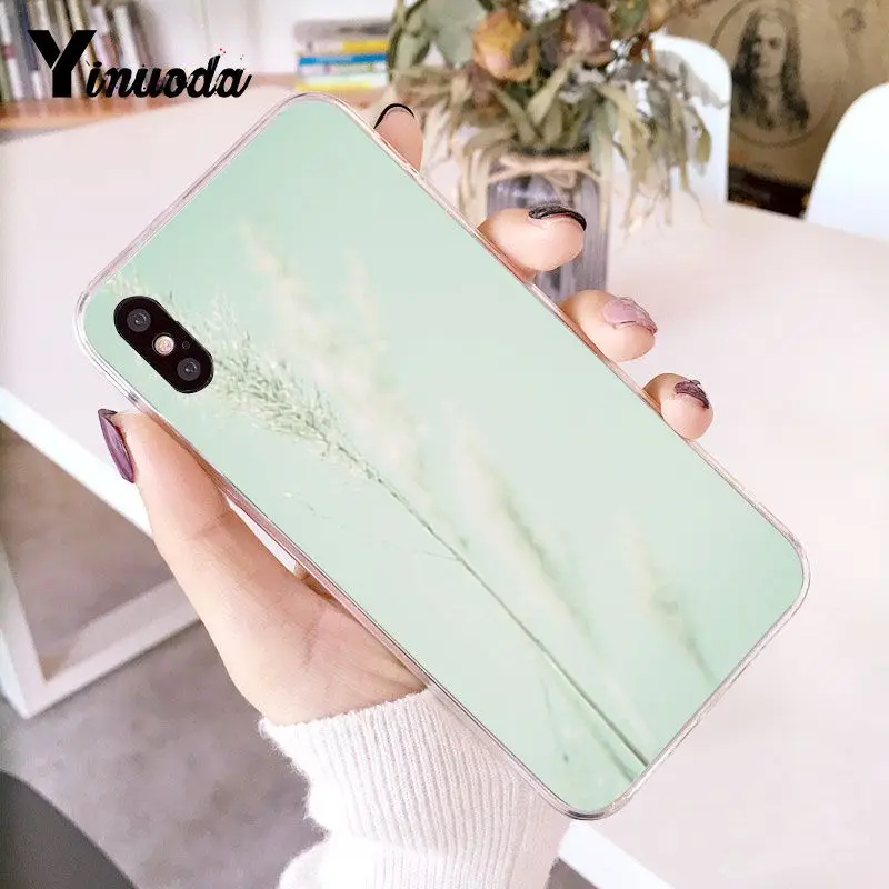 Simple little fresh mint green